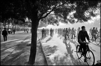 Inge Morath